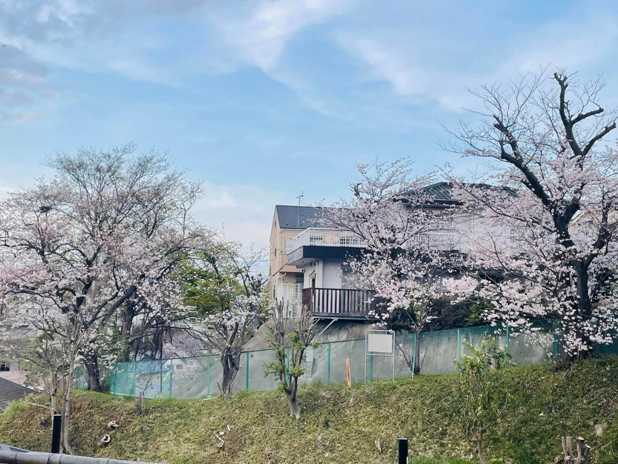 Hotel ソフィアハウス横浜 -女性専用シェアハウス- Sopfia House Yokohama For Women Only Shared House Exterior foto